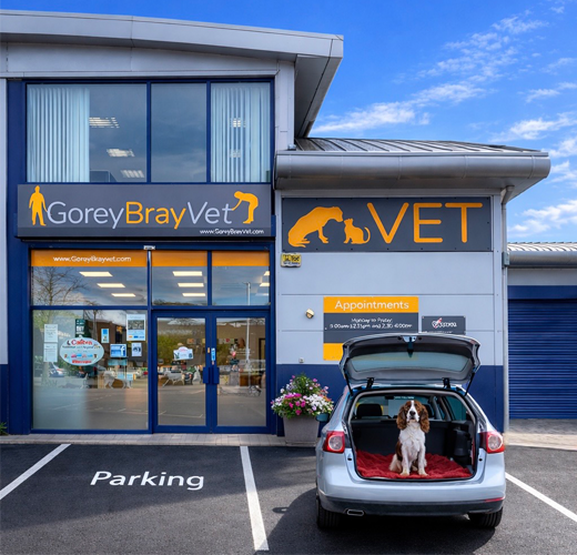 Goreybrayvet img