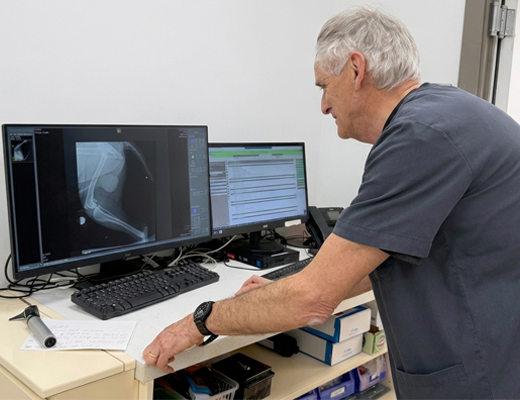 Orthopaedics