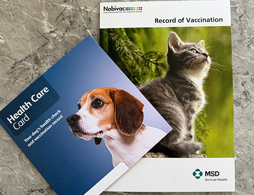Vaccinations img